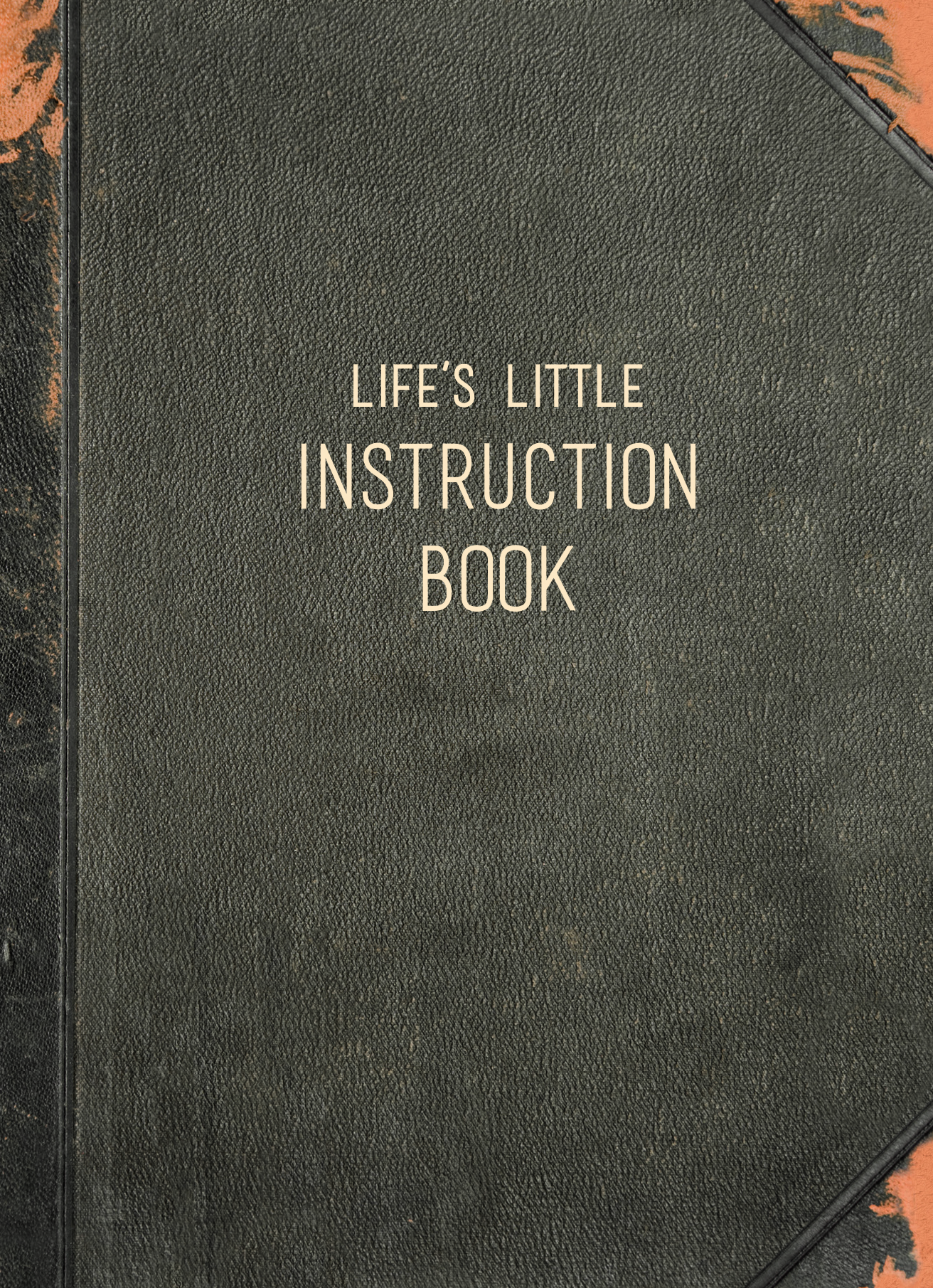 Little life book. A little Life книга. Instruction book. Instruction книга.