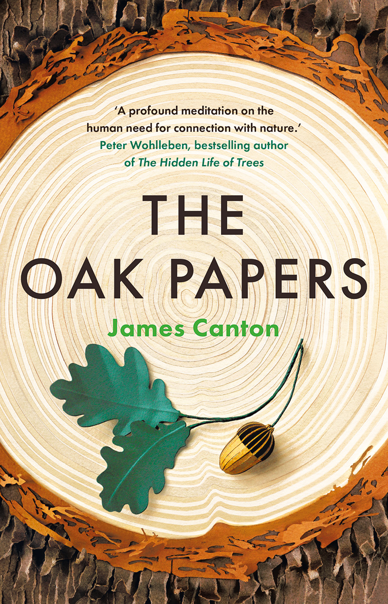 The Literature Book by James Canton