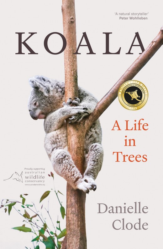 Koala