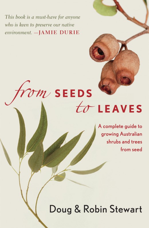 From Seeds to Leaves From Seeds to Leaves