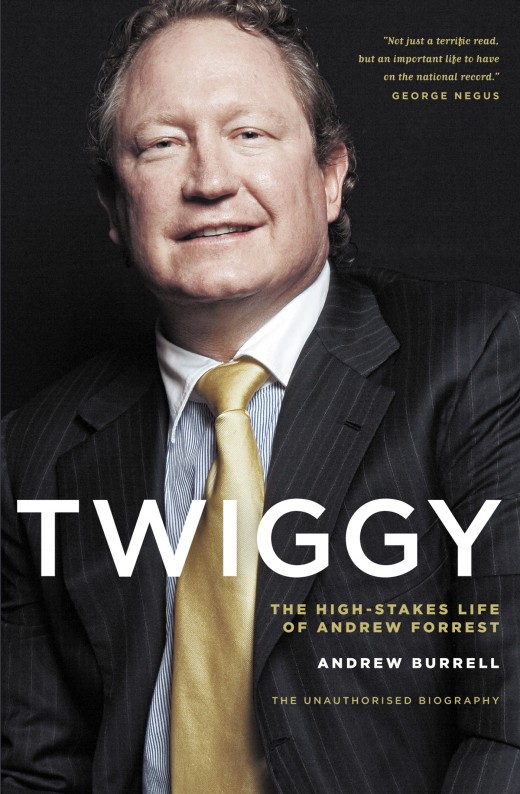 Twiggy Twiggy