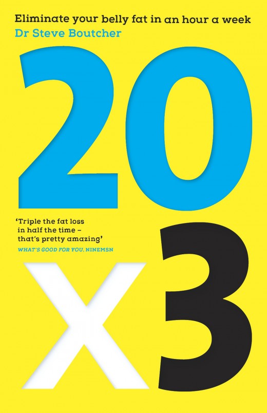 20 x 3 20 x 3