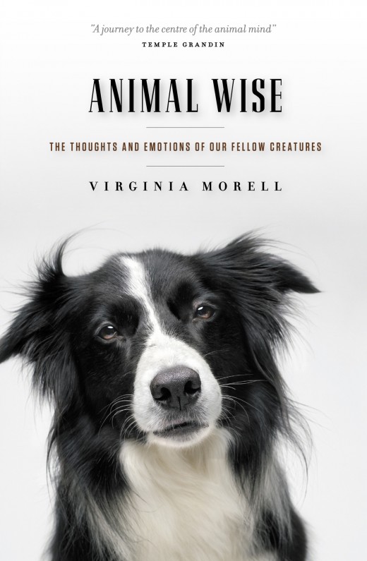 Animal Wise Animal Wise