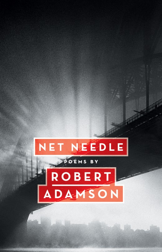 Net Needle Net Needle