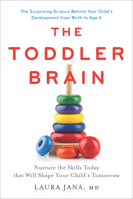 The Toddler Brain The Toddler Brain