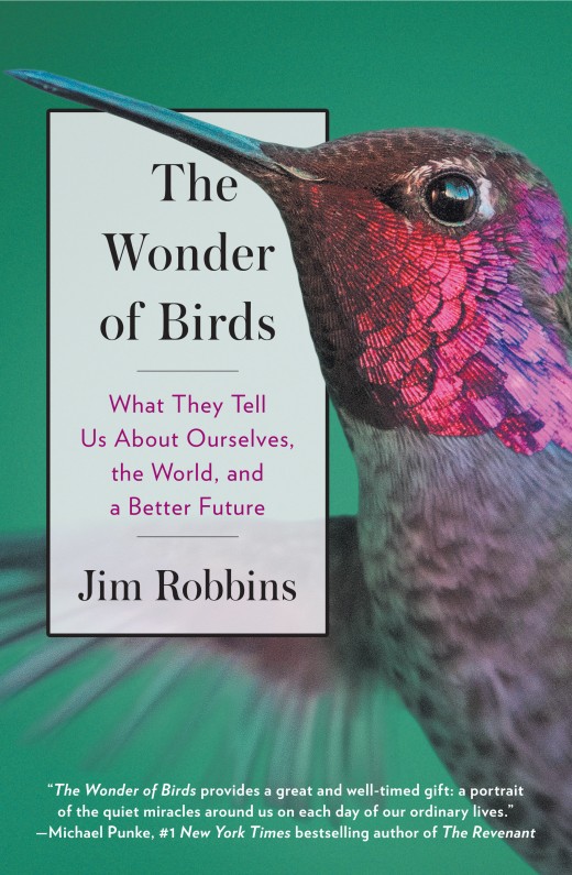 The Wonder of Birds