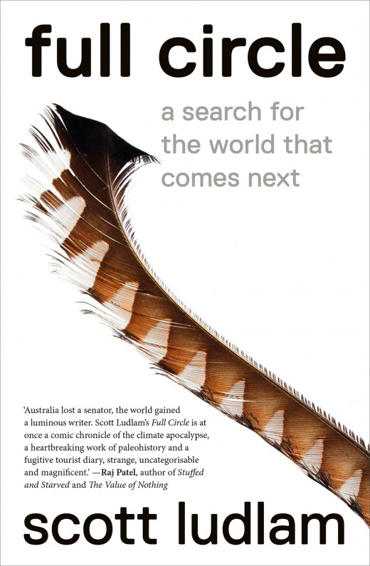 White cover with image of large brown and white feather