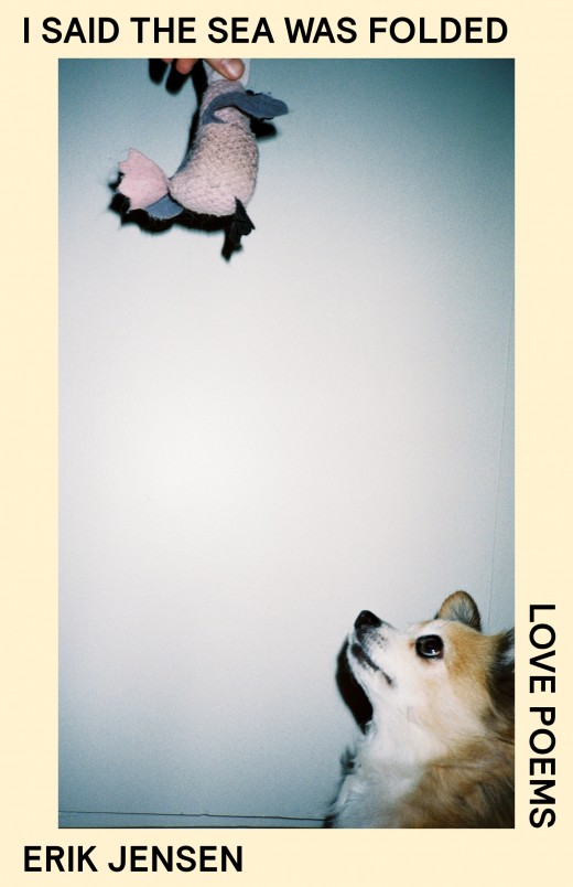 cream border with photograph of a small orange and white dog looking up at a toy being held above frame