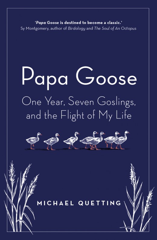 Papa Goose Papa Goose