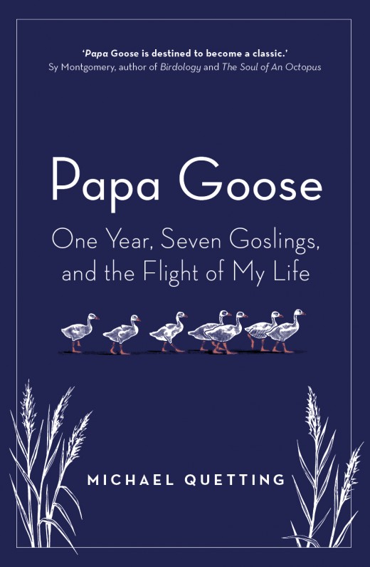 Papa Goose