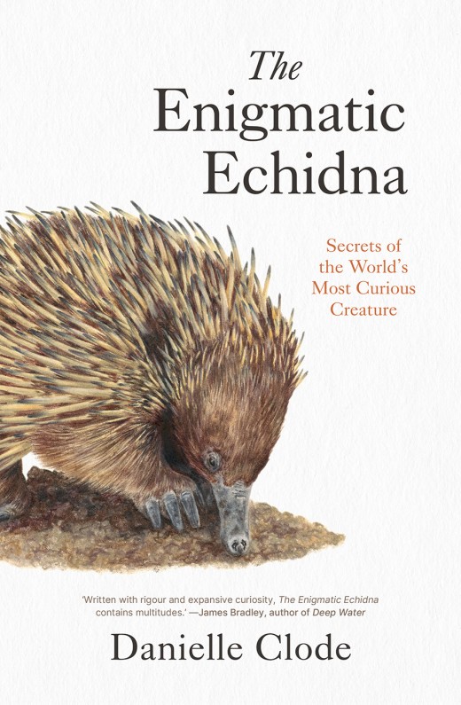 The Enigmatic Echidna by Danielle Clode | Black Inc.