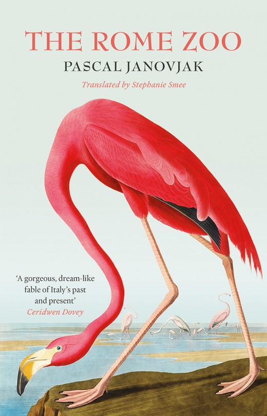 Illustration of flamingo bending over on a rock next to a pool of water