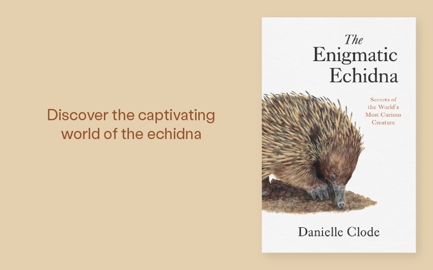 Out Now: Enigmatic Echidna by Danielle Clode