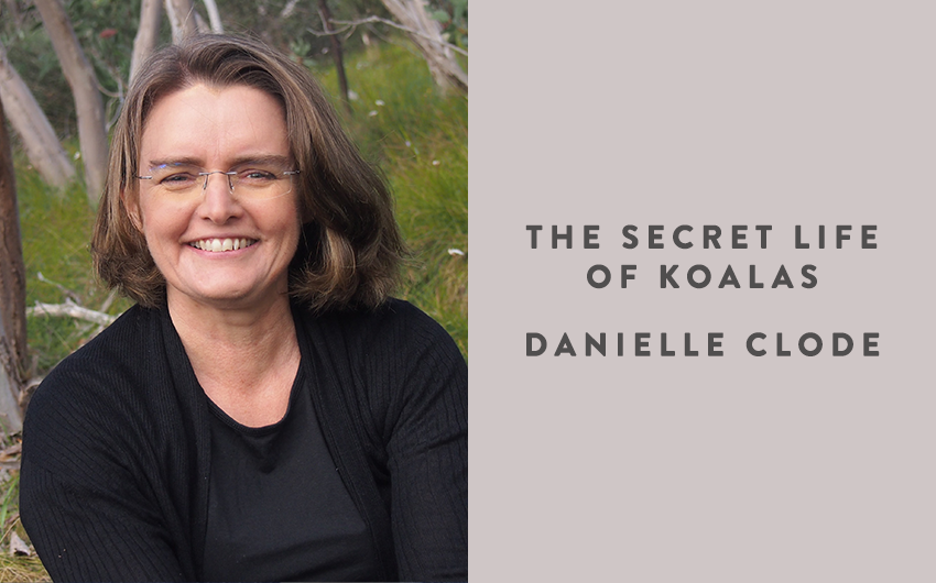 Black Inc. to publish major new book on the hidden life of koalas Black Inc. to publish major new book on the hidden life of koalas