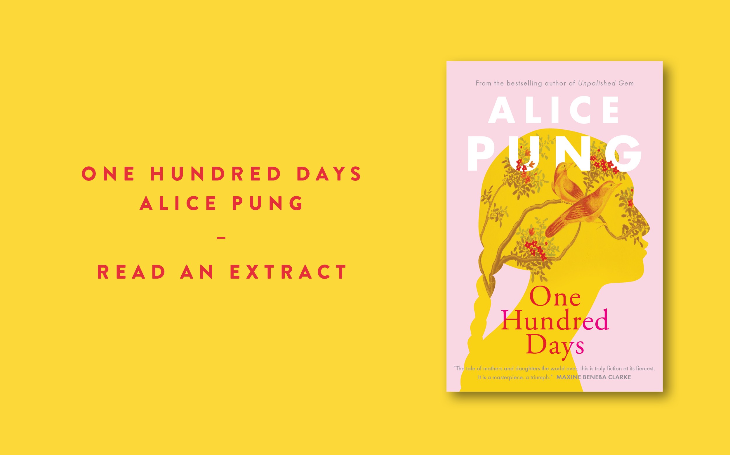 Read an extract: One Hundred Days