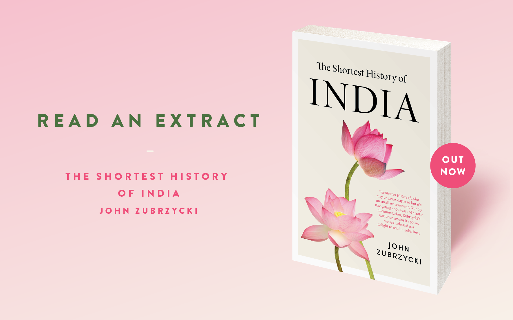 Summer of Reading: The Shortest History of India
