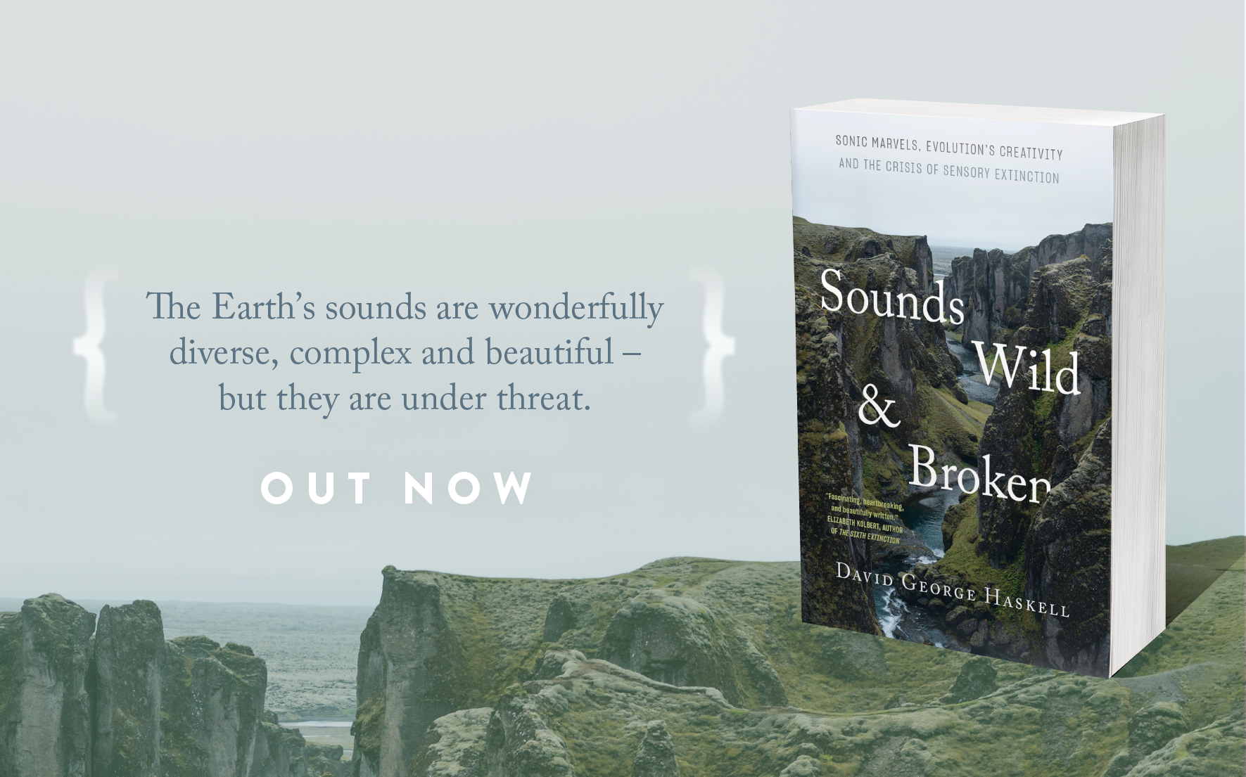 Out Now: Sounds Wild & Broken 