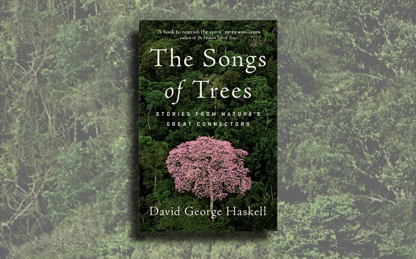 Q & A with The Songs of Trees author, David George Haskell 