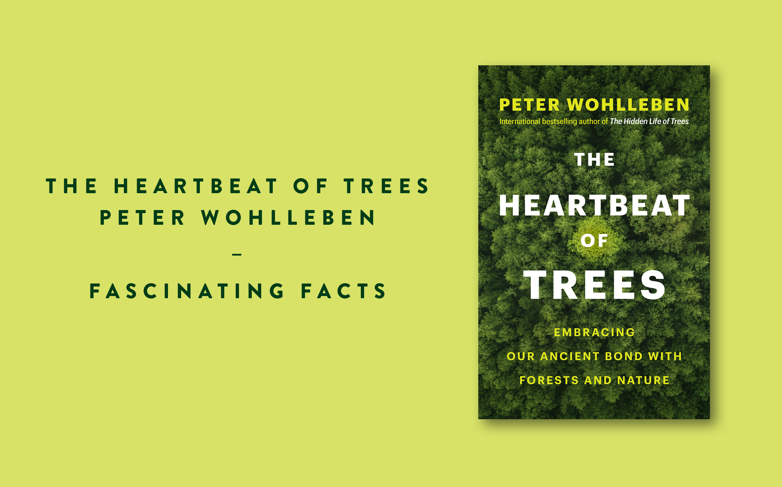 7 things we learnt from The Heartbeat of Trees