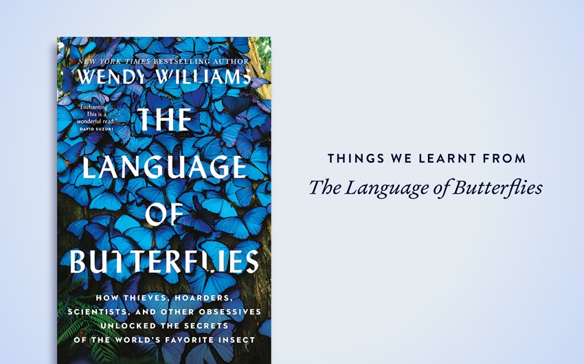 7 facts we learnt from The Language of Butterflies