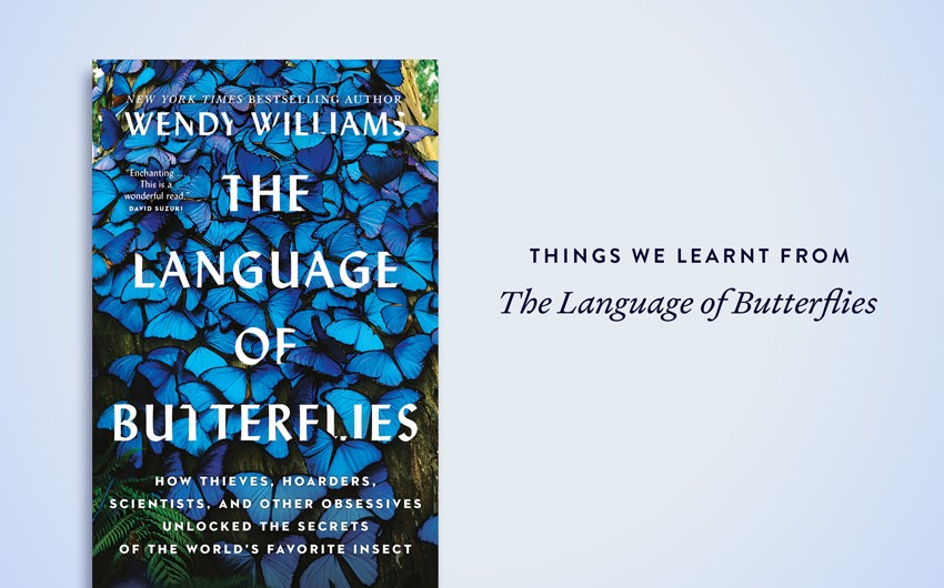 7 facts we learnt from The Language of Butterflies 7 facts we learnt from The Language of Butterflies
