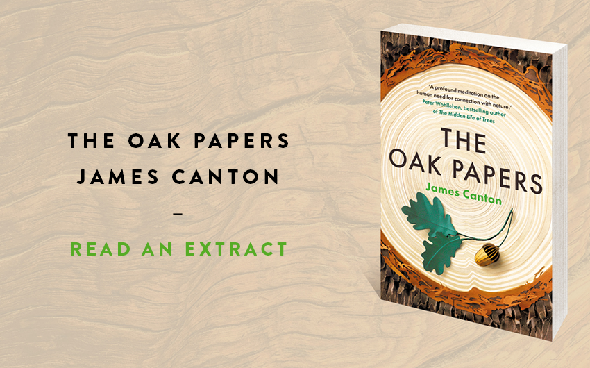 Read an extract: The Oak Papers Read an extract: The Oak Papers