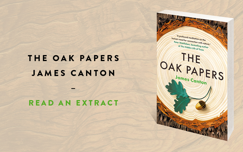 Read an extract: The Oak Papers