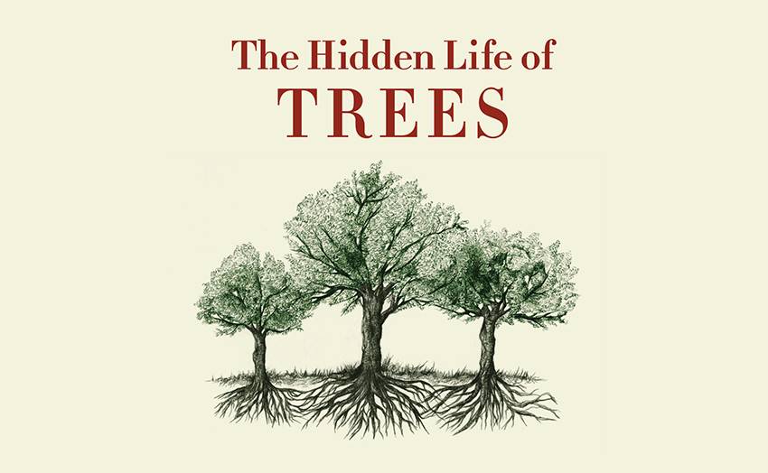 Read an extract from The Hidden Life of Trees Read an extract from The Hidden Life of Trees