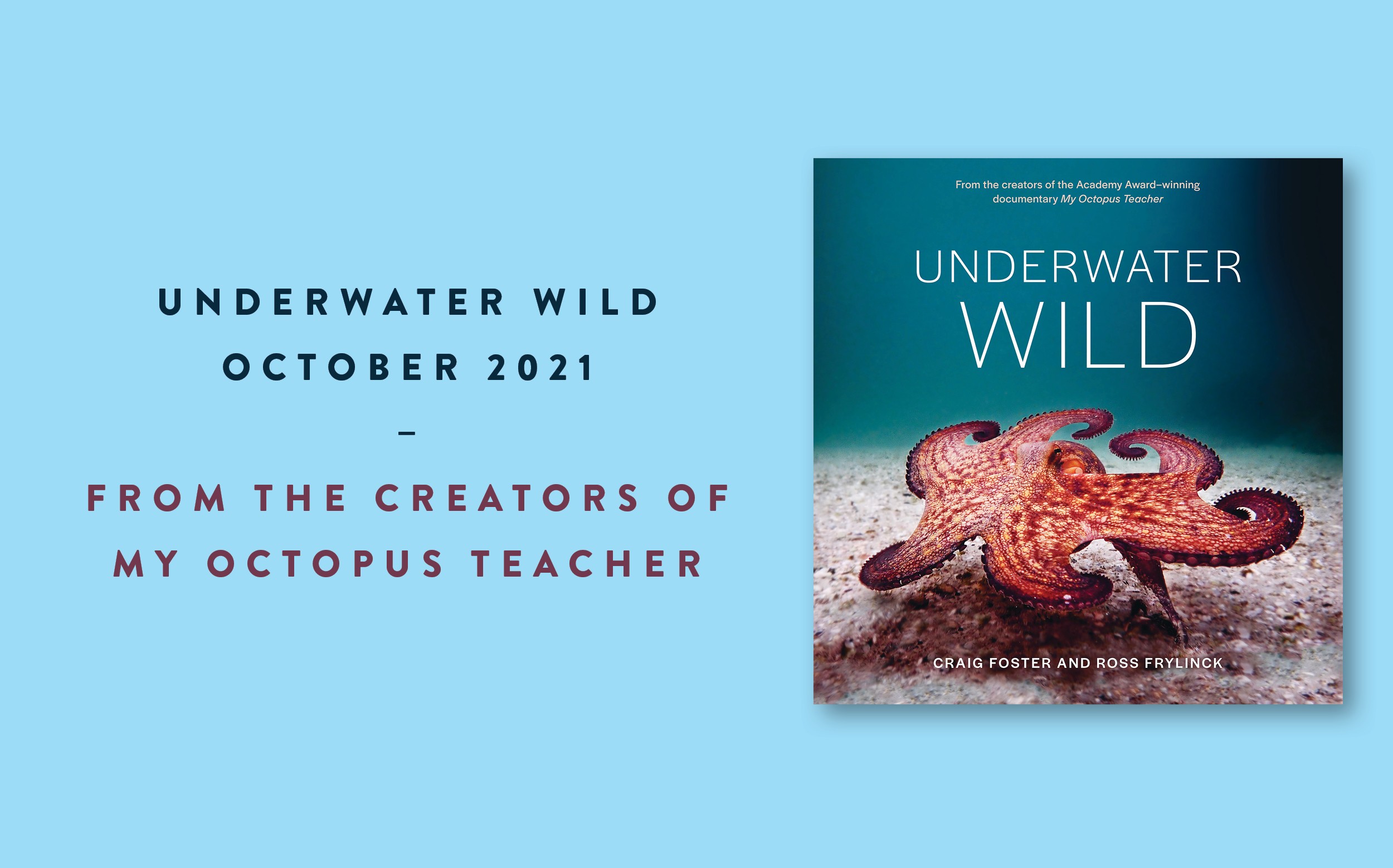 Underwater Wild is coming soon Underwater Wild is coming soon