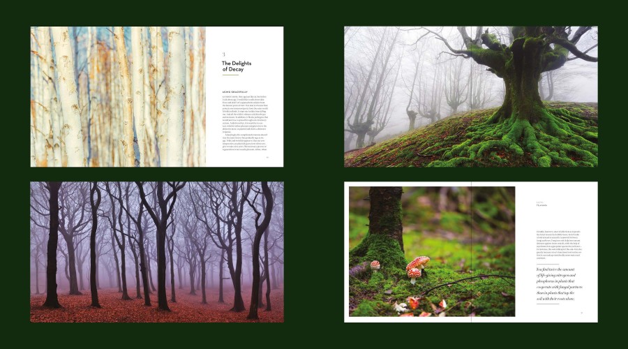 The Hidden Life of Trees 