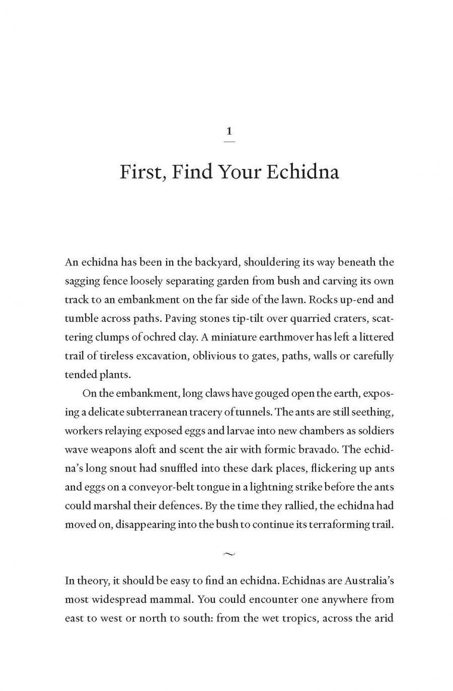 The Enigmatic Echidna