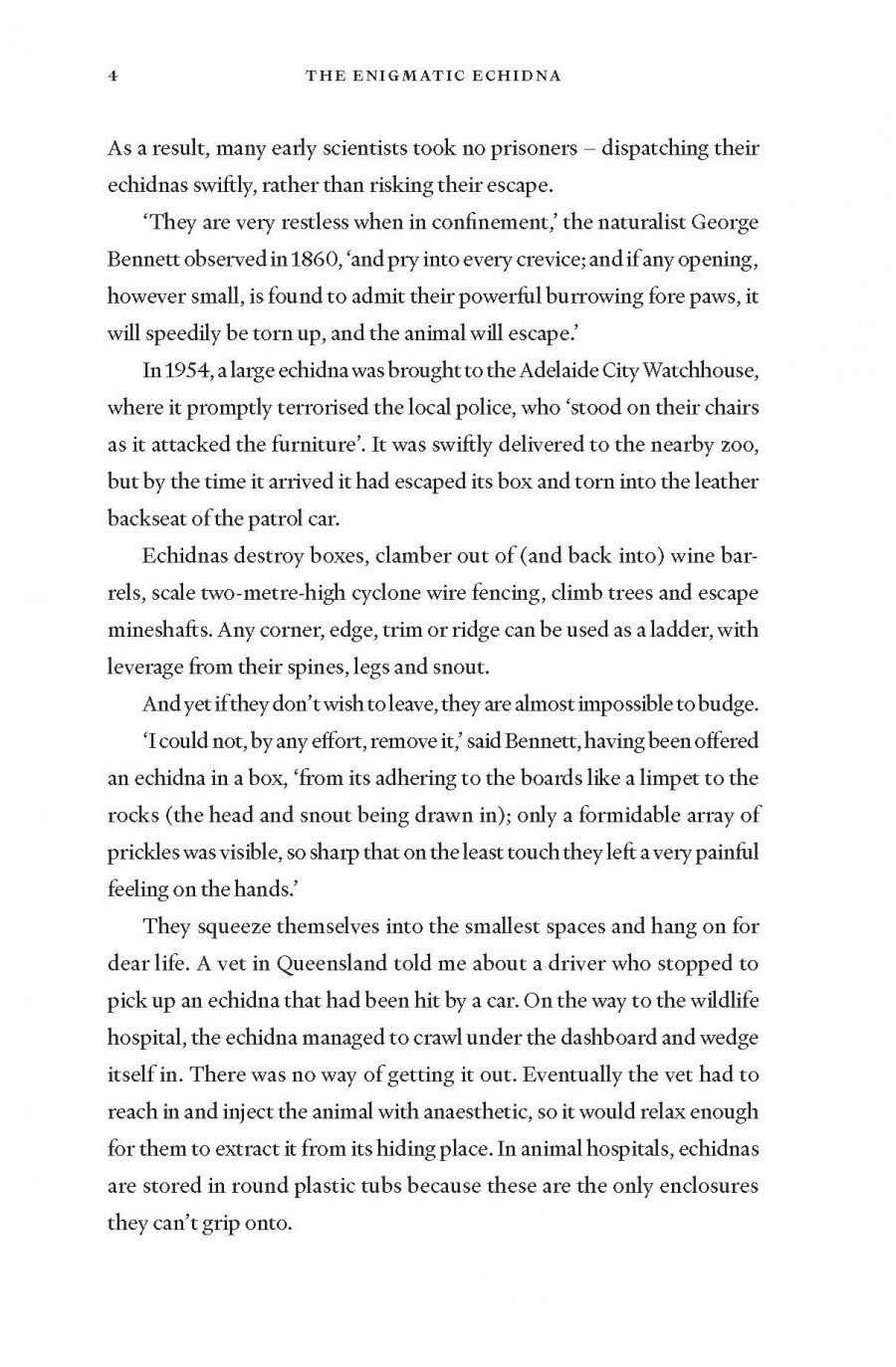 The Enigmatic Echidna