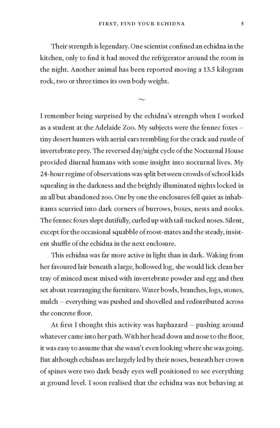 The Enigmatic Echidna