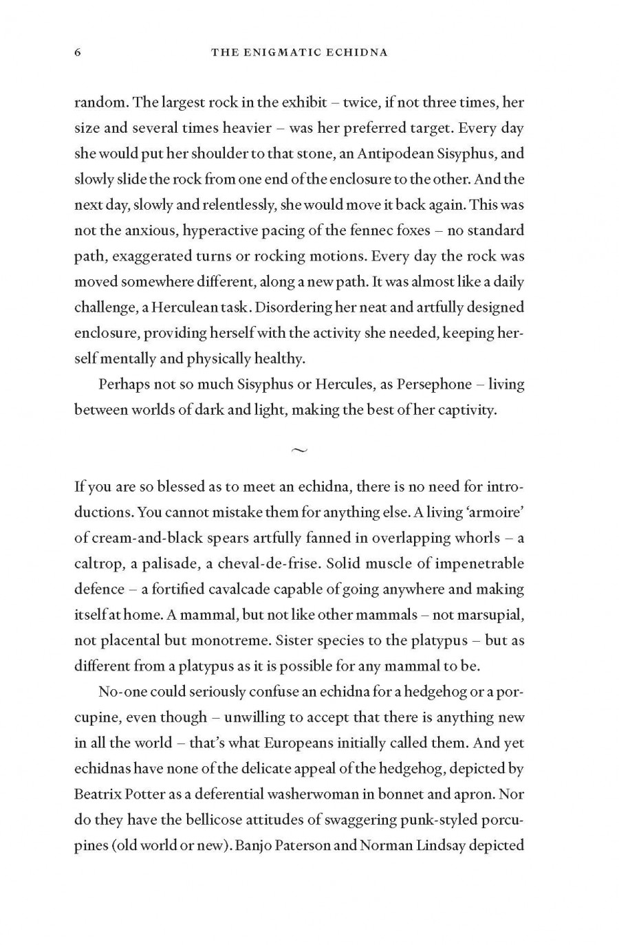 The Enigmatic Echidna