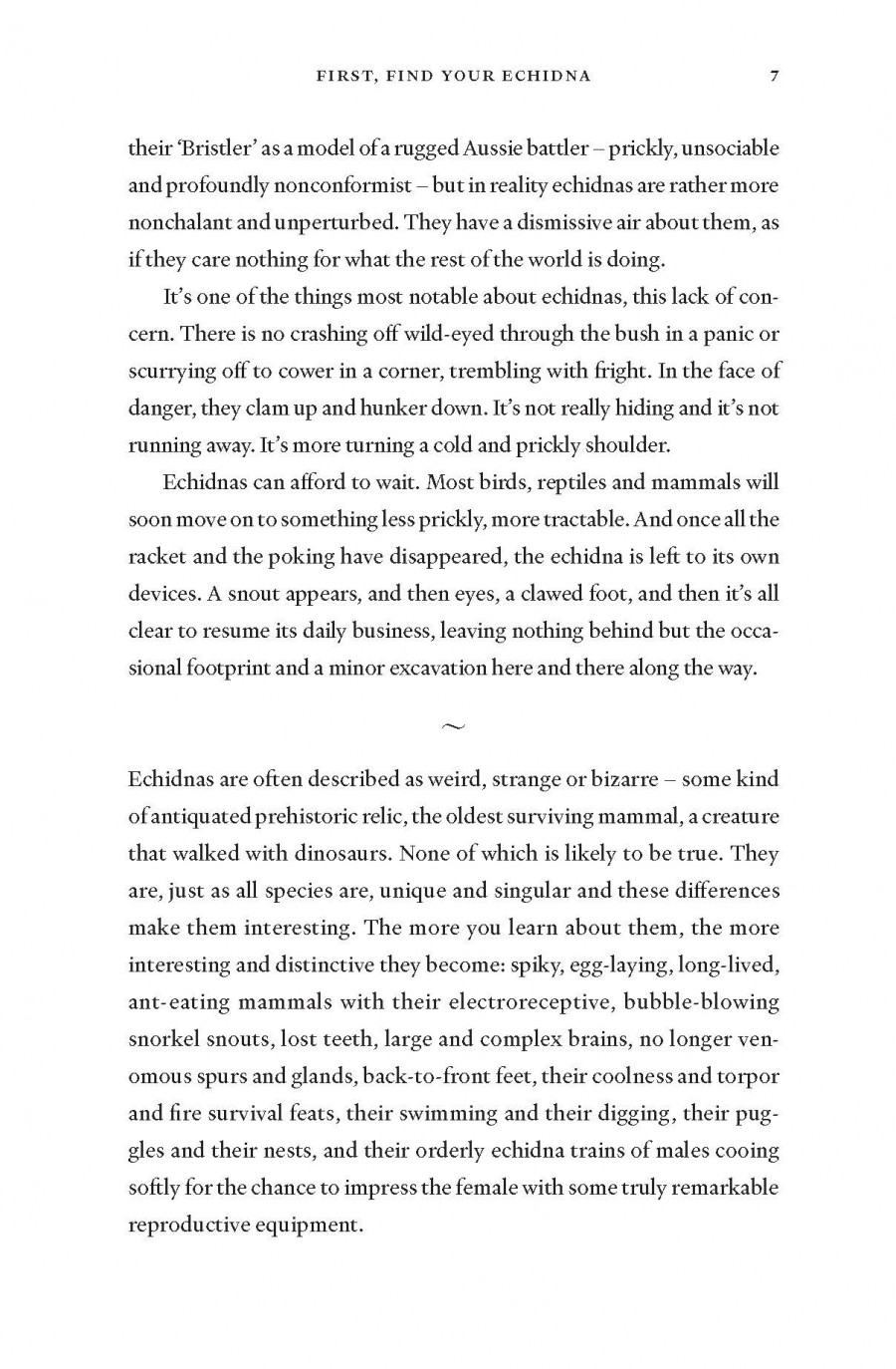 The Enigmatic Echidna