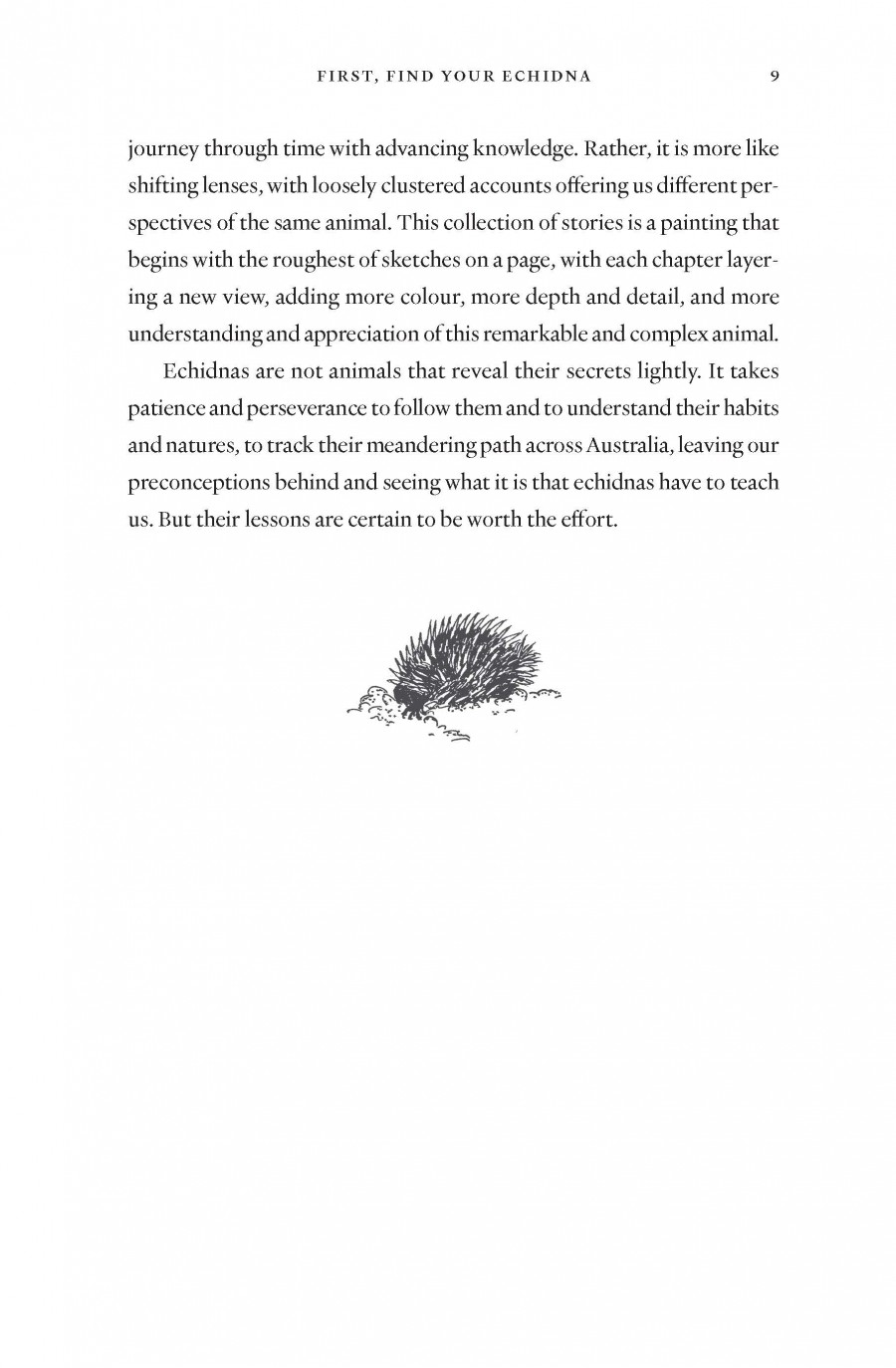 The Enigmatic Echidna